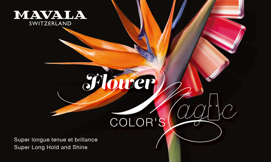 Flower Magic Color's — FLOWER MAGIC Color's, laissez opérer la magie des couleurs et des fleurs !