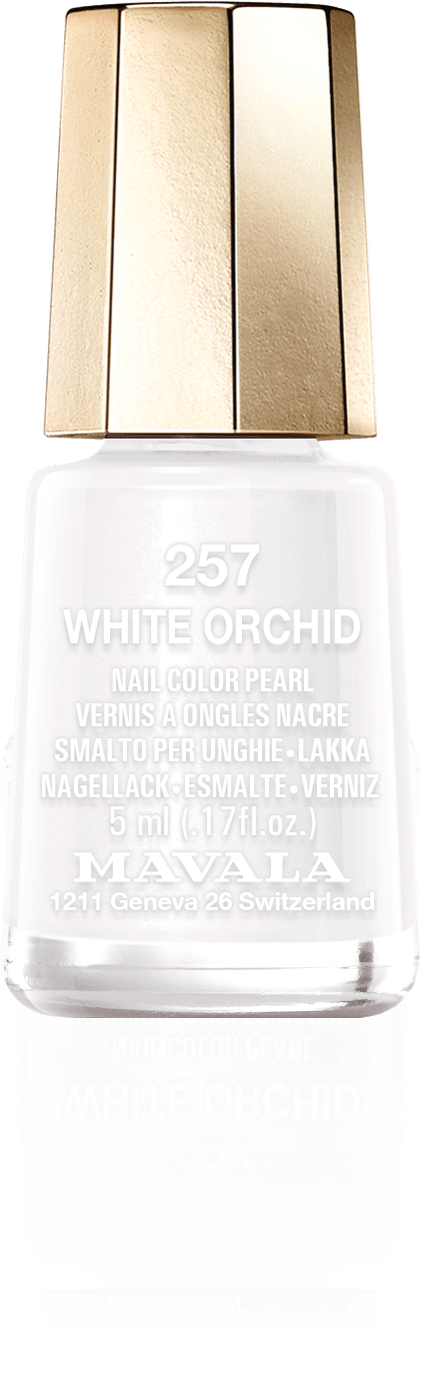 White Orchid — Un blanc subtil et pur